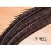 FS Europe Premium Pheasant Tail Feather - Dark Brown