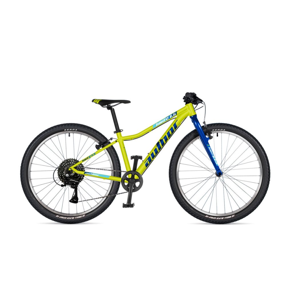 FLS07303343 author limit 27 5 2025 limeta modra