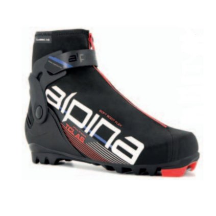 FLS06300173 alpina tcl as 2021 22