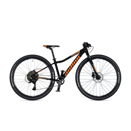 FLS07303352 author limit 29 2025 cerna oranzova