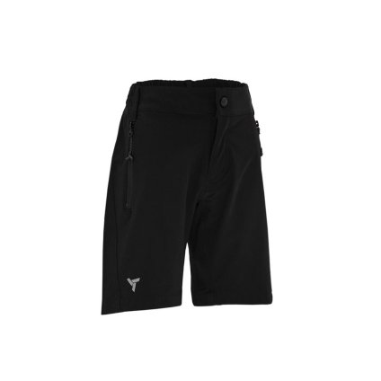 FLS10902099 silvini arvo cerna