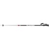 FLS06103955 blizzard rental ski poles