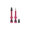 FLS05300455 tubolight pink valves pair