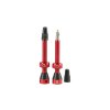 FLS05300625 tubolight red valves pair
