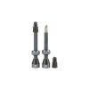 FLS05300032 tubolight gray valves pair