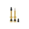 FLS05300593 tubolight gold valves pair