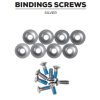 FLS03600071 srouby ke snowboardovemu vazani gravity binding screws silver 18 19