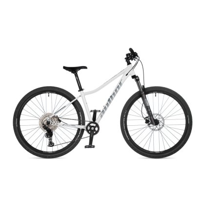 FLS07303374 author kinetic asl 2025 bila stribrna