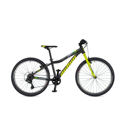 FLS07303337 author limit 24 2025 seda limeta zelena