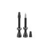 FLS05300153 tubolight black valves pair