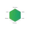 FLS05342560 02 sinter brzdove dosticky magura mt5 7 green