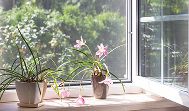 Výhody sietí proti hmyzu od FOA