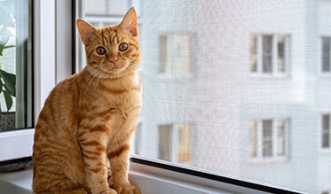 Nebezpečný hmyz a ochrana proti němu