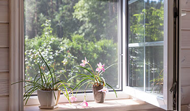 Sítě proti hmyzu: Vše co potřebujete vědět