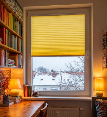 Vizualizace - plisé žaluzie