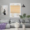 Roleta Plisé, s profilem Decor, DUO Blackout, Světle hnědá, P 0620