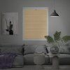 Roleta Plisé, s profilem Decor, DUO Blackout, Světle hnědá, P 0620