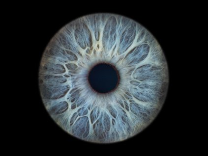 fotografie duhovky jakub štěpán iris oko7