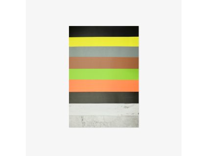 ColordBackdropProduct back