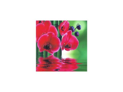 Samolepicí dekorace na kachličky Orchidei I. 15 x 15 cm