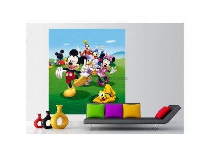 Fototapeta vliesová dvoudílná Mickey Mouse II.