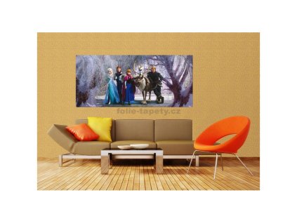 Fototapeta vliesová jednodílná Frozen IV.