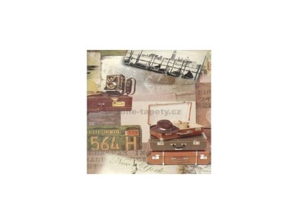 Samolepící tapety Dover šíře 45 cm - dekor 242
