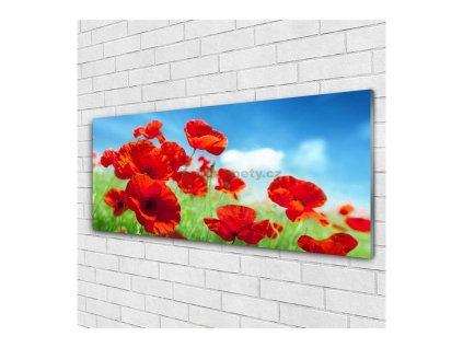 Obraz na skle - Vlčí máky 140 x 70 cm
