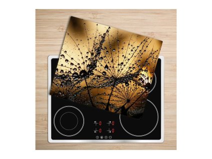 Skleněná deska - D3821285 - Pampeliška 60 x 52 cm