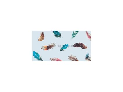 Samolepicí statická fólie Premium na sklo, transparentní, Finja, 67,5 cm x 15 m