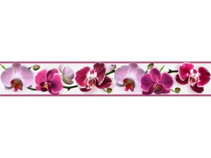 Bordura na zeď samolepicí - Orchidej tmavá fialová