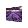Skleněná deska - 5D86680363 - Levandulové pole 60 x 52 cm