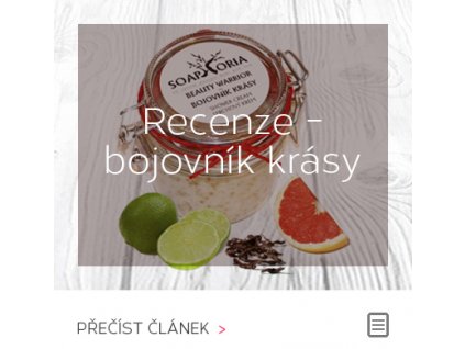 Recenze: bojovník krásy