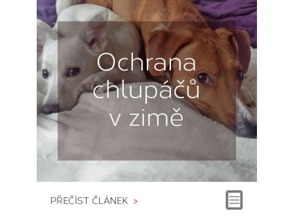 Ochrana chlupáčů v zimě