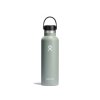 Hydro Flask Nerezová termolahev Standard Mouth Flex Cap 21 oz (621 ml) Olivová