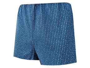 Klasické Pánské Trenýrky FOLTÝN UP 335