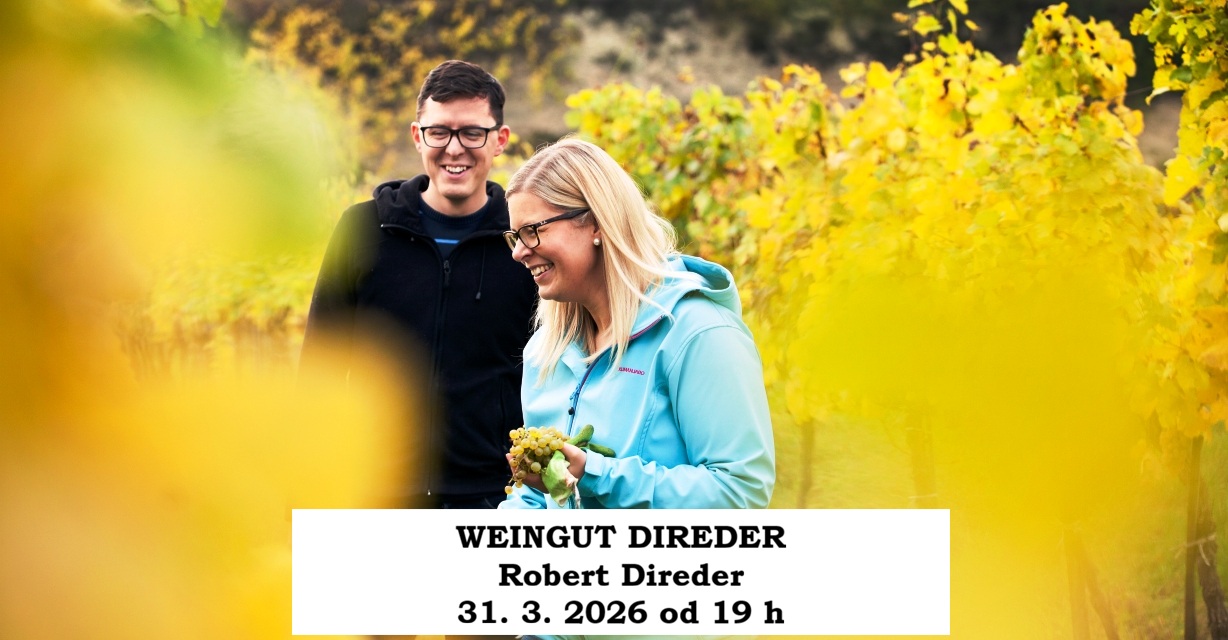 WEINGUT DIREDER