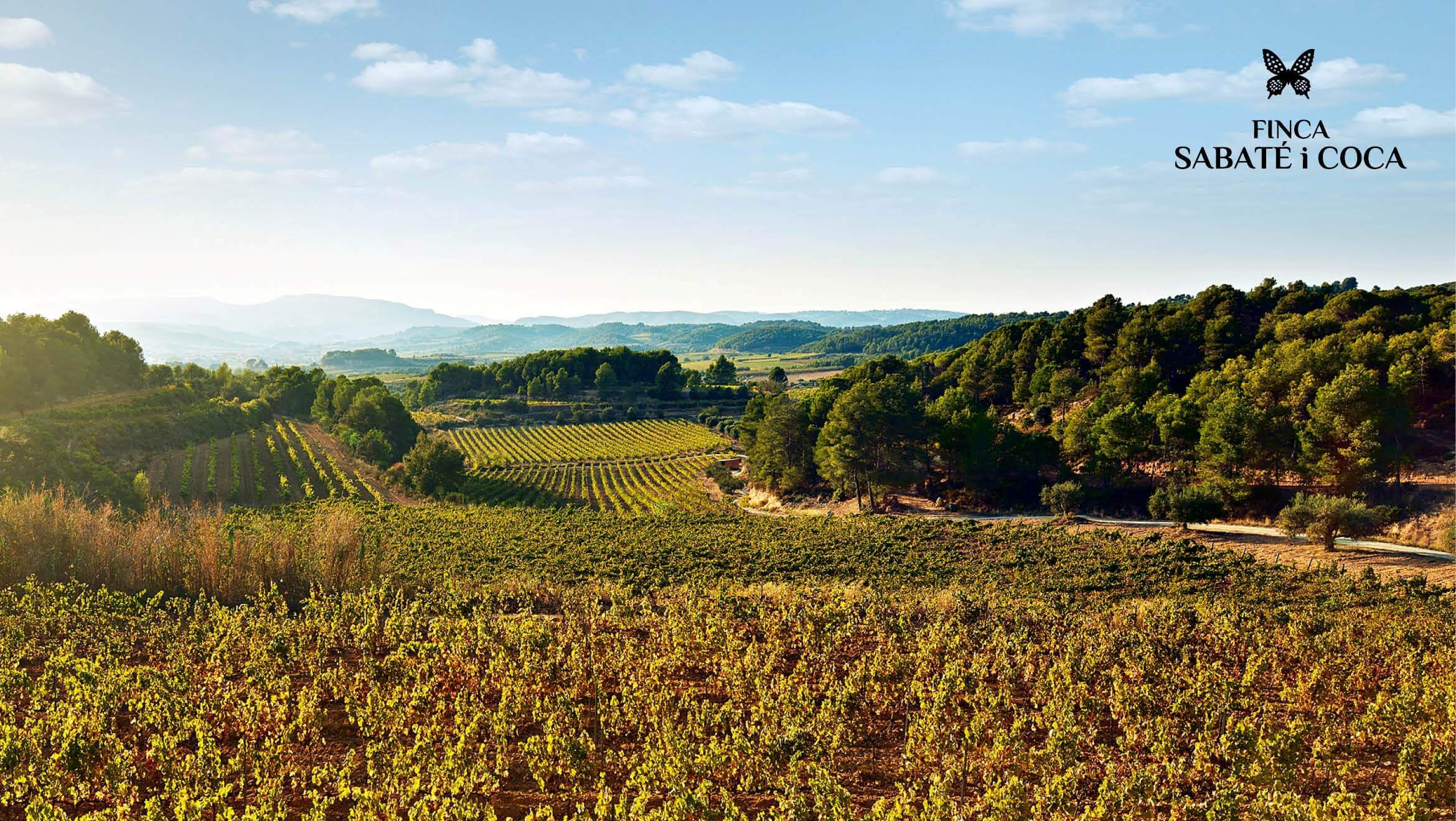 DEGUSTACE CORPINNAT 4.8.2021