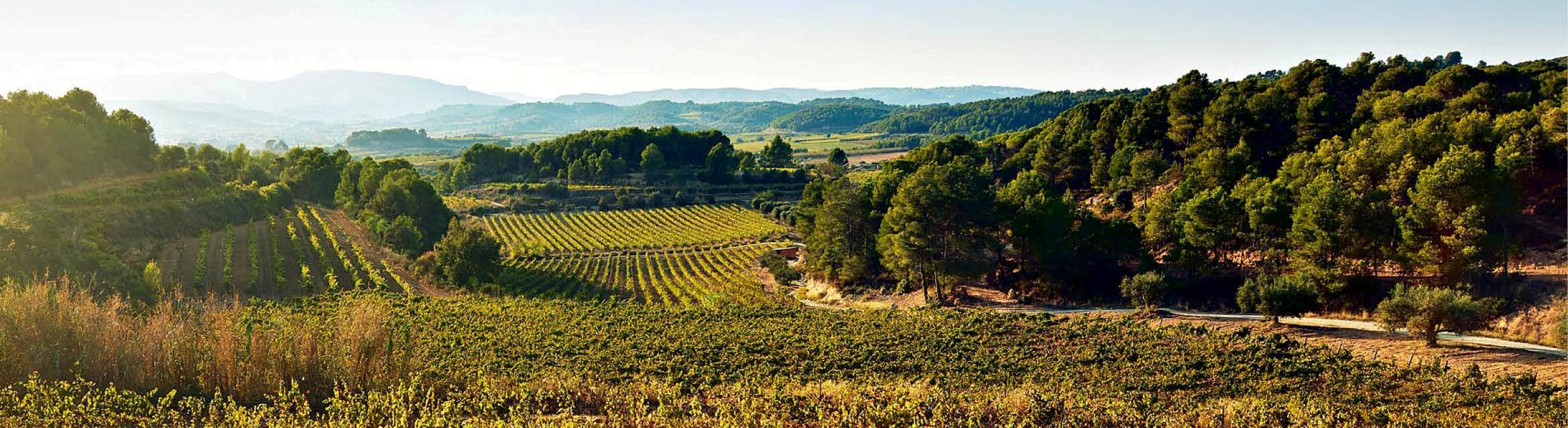 sabate i coca carousel