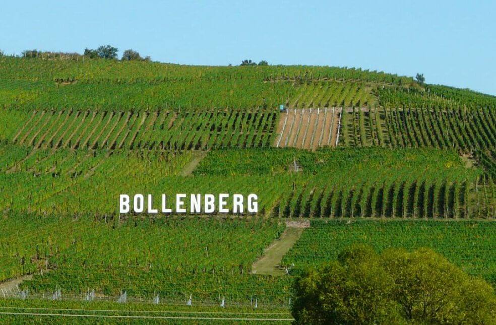 Bollenberg2