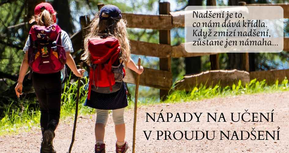 hlavní banner cesta