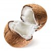 coconut milk 485115683
