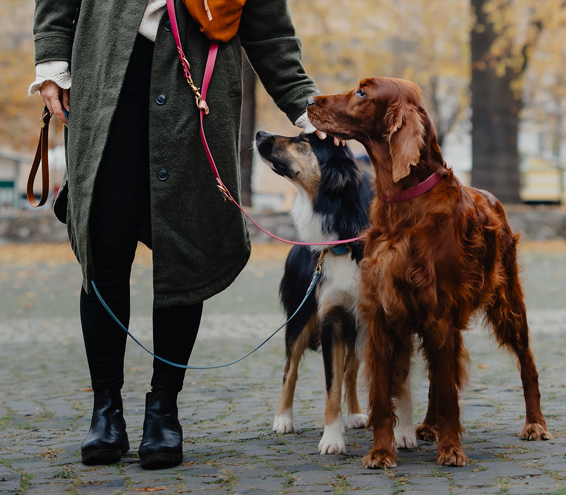 Vytvorte si vodítko podľa svojich predstáv