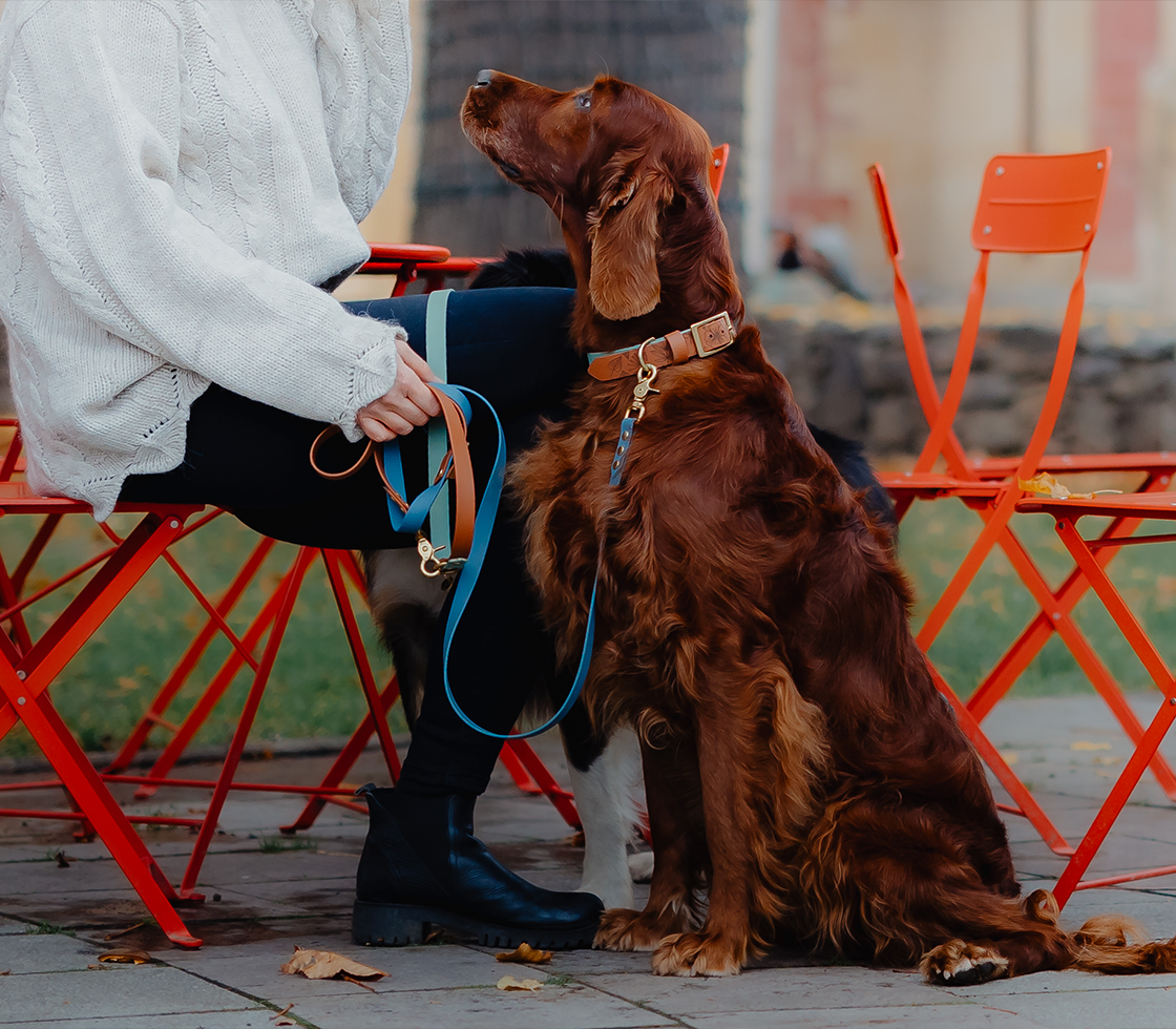 Vodeodolné handsfree vodítko z materiálu BioThane®