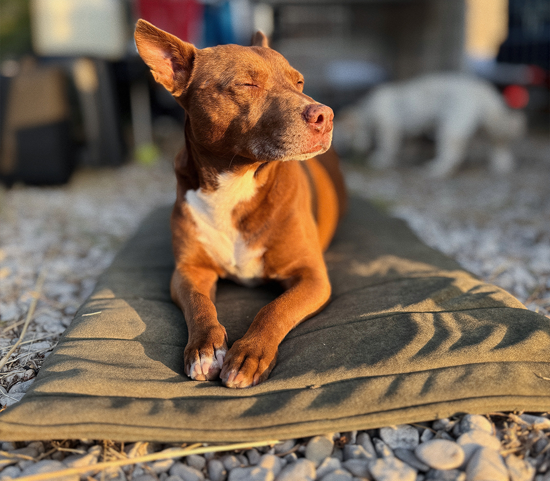 CESTOVNÁ PODLOŽKA FOoFO