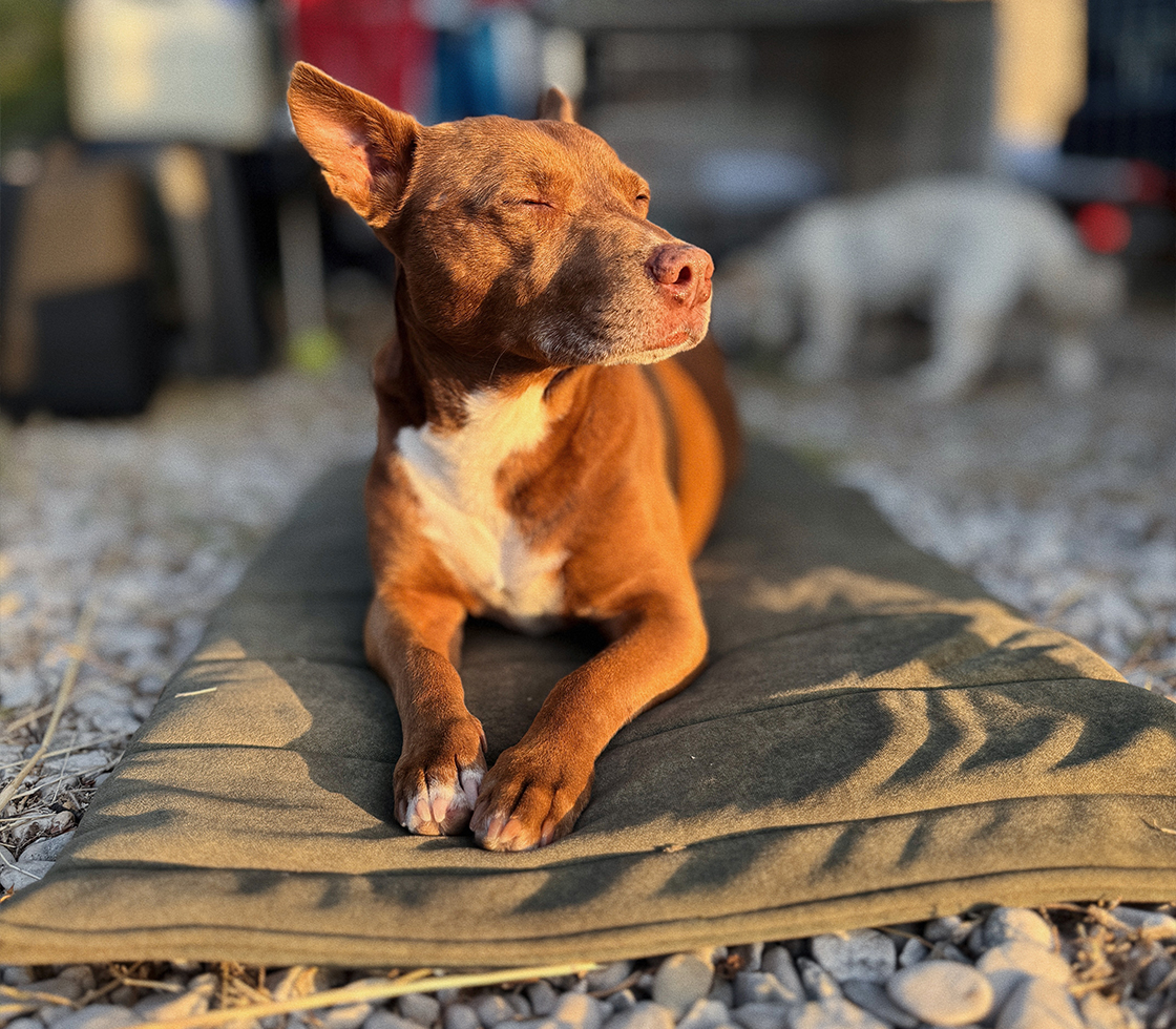 CESTOVNÁ PODLOŽKA FOoFO