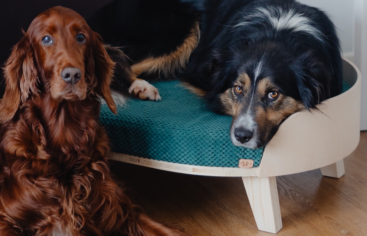 ORTOPEDICKÝ PELECH VÁĽANDA