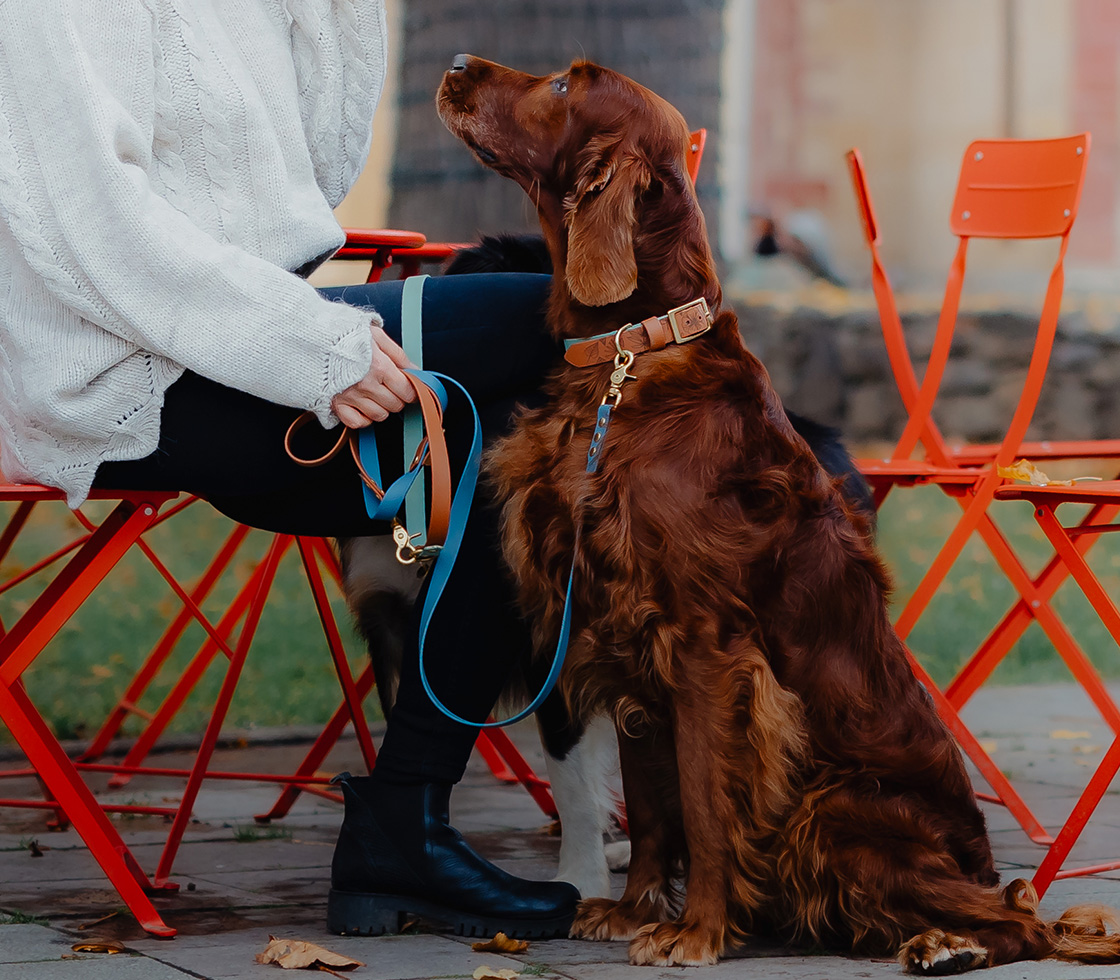 Vodeodolné handsfree vodítko z materiálu BioThane®