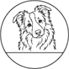13. Austrálsky ovčiak