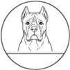 23. Cane Corso